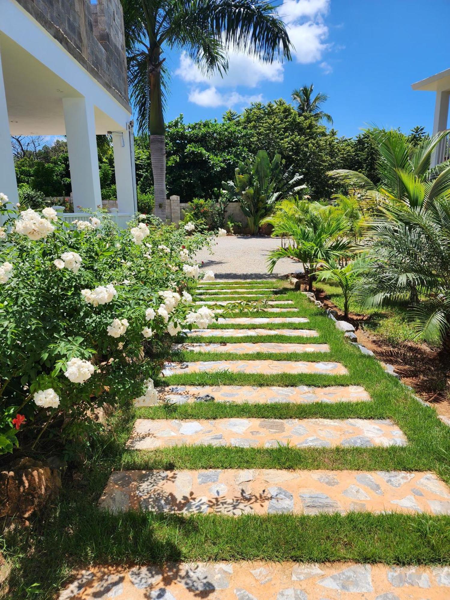 Bella Villa Room With Large Pool And Close To Beach Las Galeras Bagian luar foto