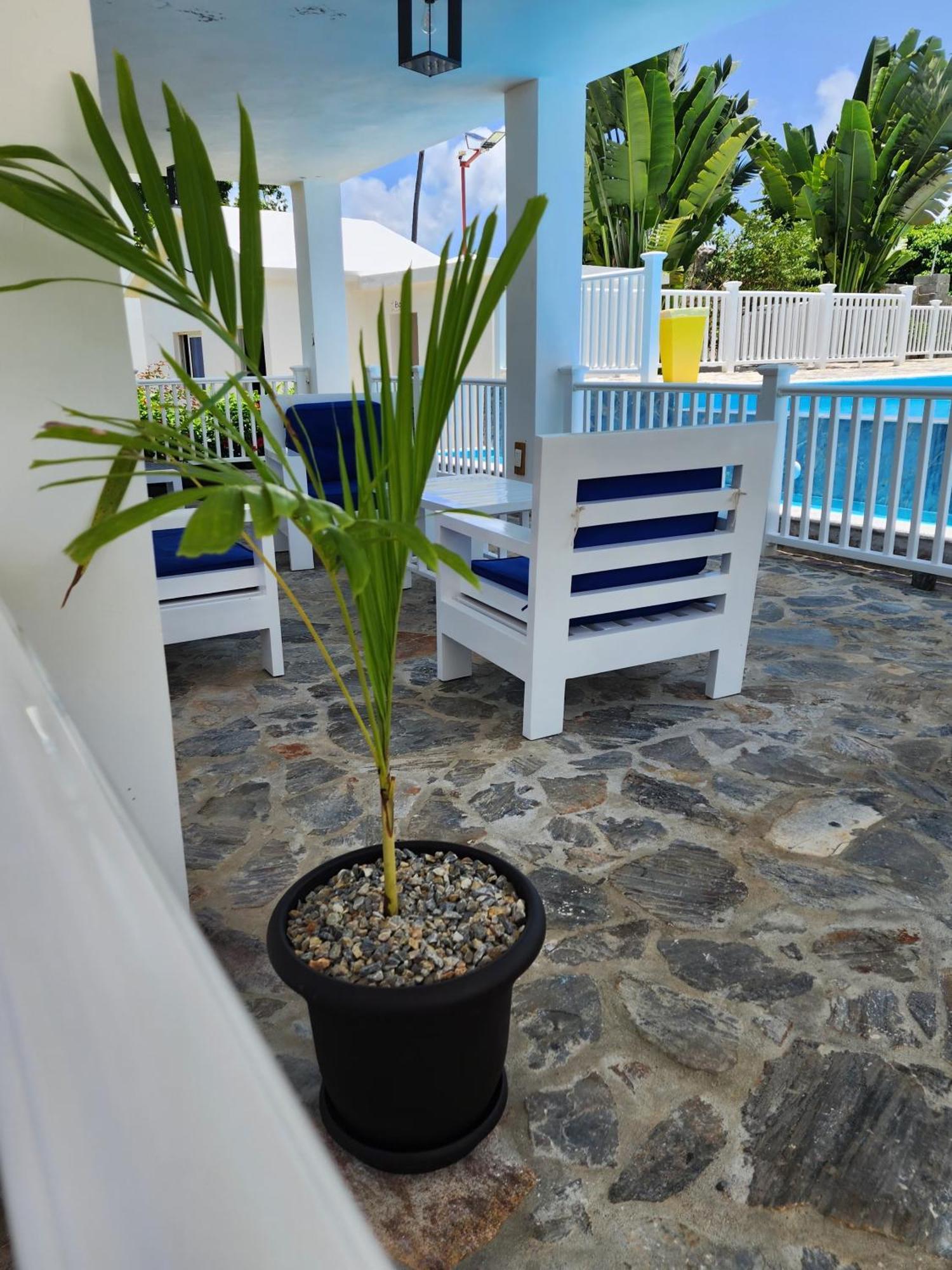 Bella Villa Room With Large Pool And Close To Beach Las Galeras Bagian luar foto